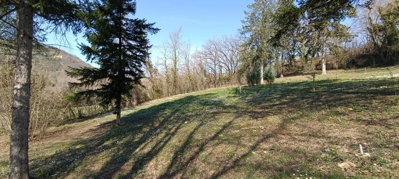 Casale La Pineta Apartment Mombaroccio ภายนอก รูปภาพ